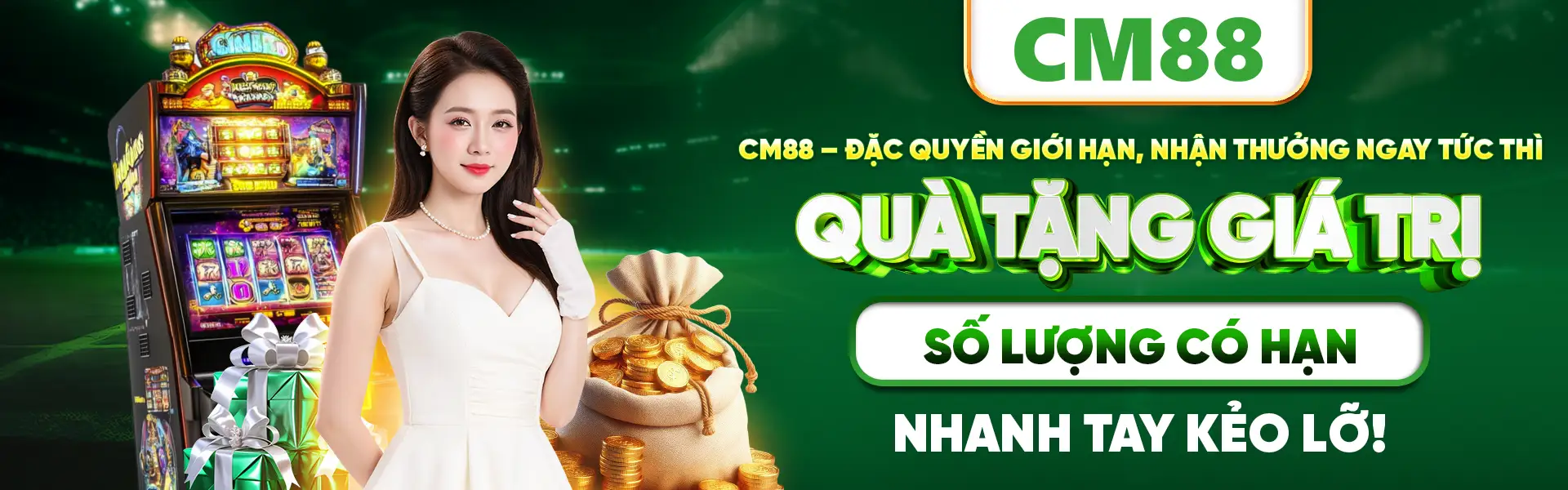 banner cm88